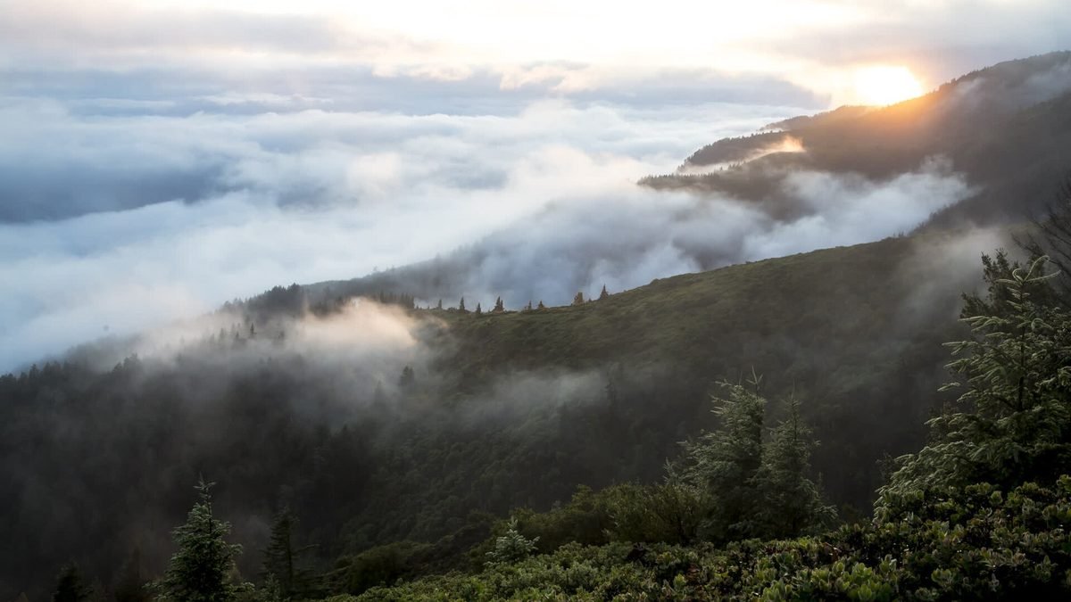 What Changing Your Life Actually Looks Like From the Inside